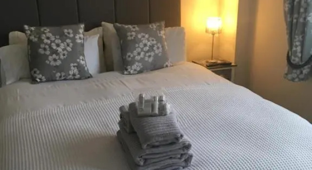 Standard- værelse Downsfield Bed and Breakfast