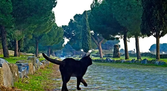 B&B Appia Felis, Prenota Bed & breakfast Hotel a Lazio con parcheggio, Parcheggio