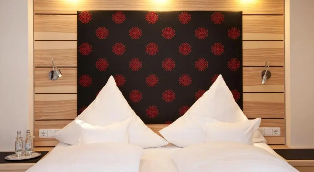 Habitación doble Estándar Hotel Filser