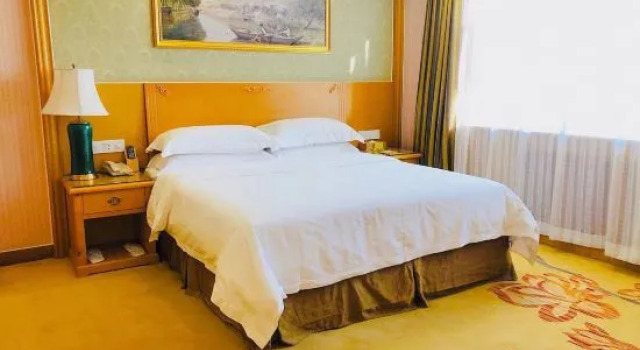 Двухместный люкс Deluxe Vienna Hotel