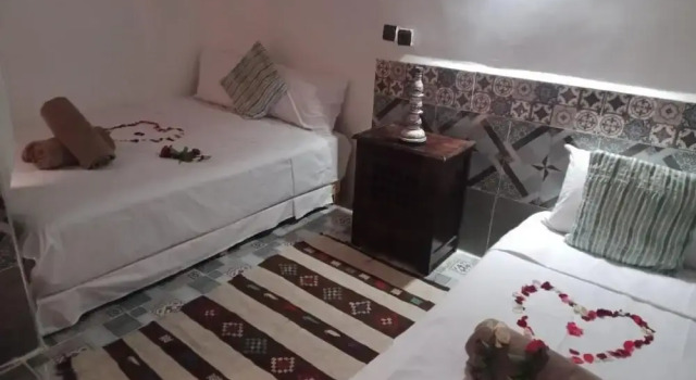 Camera Standard Riad Wink