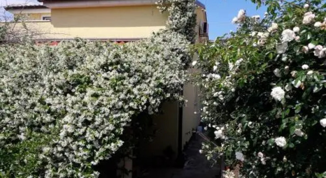Apartments Ana i Samanta