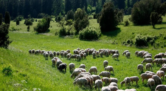 Ferienwohnungen Holder, Reserva ahora Hotel Hoteles en Baden-Wurtemberg con aparcamiento, Aparcamiento