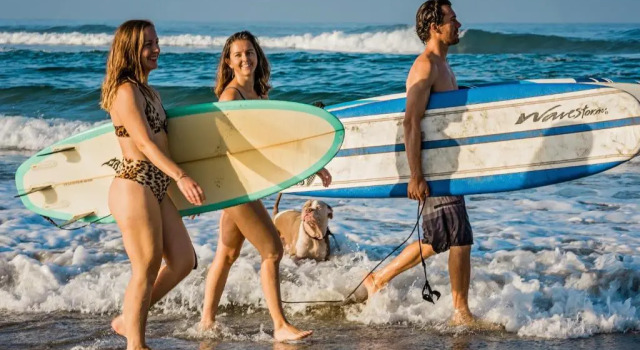 Студия Topia Retreat - Surf Suite Sur