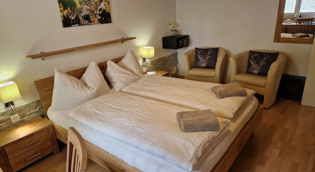 Двухместный номер Economy c 1 комнатой Hotel Paradis-Leukerbad-Therme
