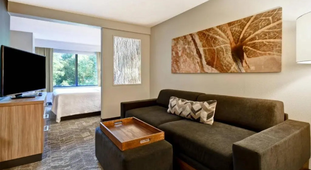 Люкс SpringHill Suites by Marriott Atlanta Kennesaw