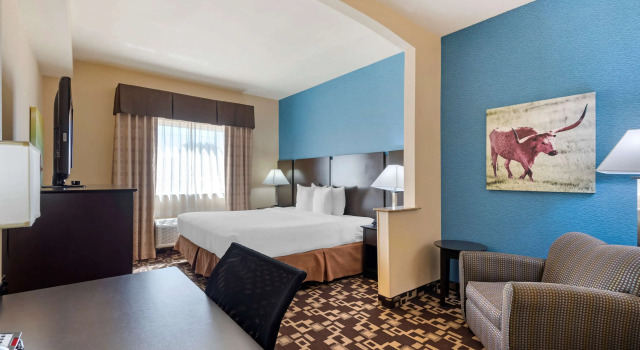 Двухместный номер Standard Best Western Plus Arlington North Hotel & Suites