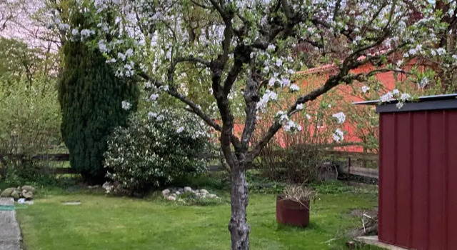 Апартаменты Huus Utspann Fewo Mit Terrasse - 23 Km Vor Hamburg -
