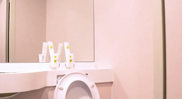 Двухместный номер Standard (без окна) Green Sun Hotel