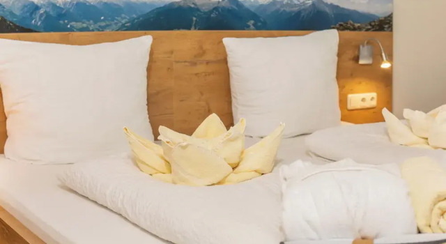 Двухместный номер Standard с видом на сад Alpenhotel Dachstein