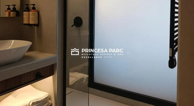 Двухместный номер Premium Hotel Princesa Parc Excellence