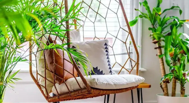 Номер Deluxe Jungle House Luxury Stays - Downtown Columbus & Short North