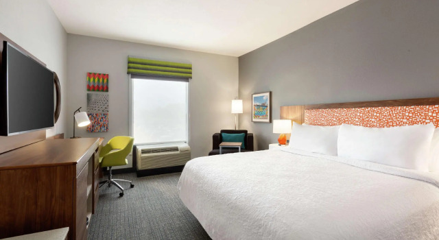 Двухместный номер Deluxe Hampton Inn & Suites Houston-Cypress Station