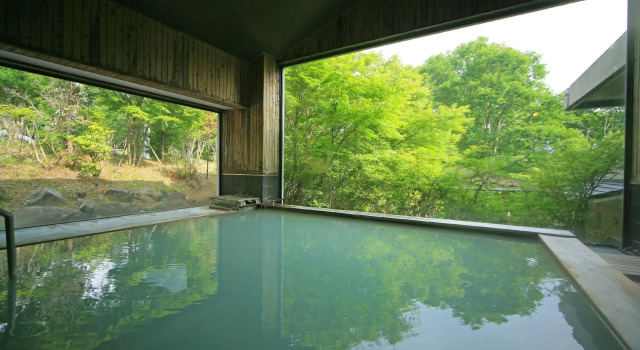 Номер Hotel Shikisai