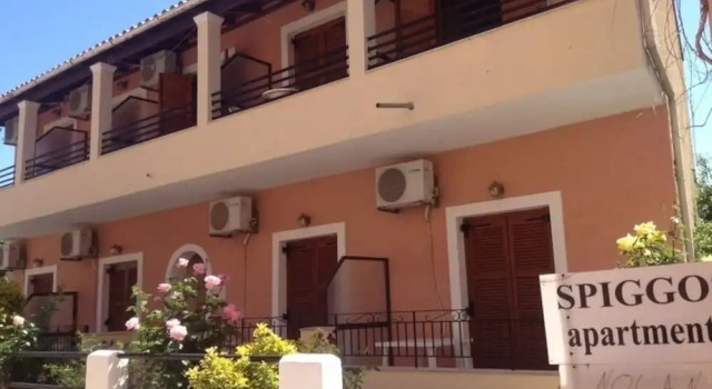 Spingos
