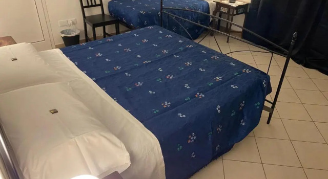 Номер Comfort Green House