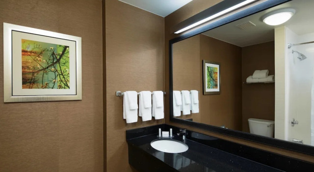 Люкс Executive c 1 комнатой SpringHill Suites by Marriott Newark International Airport
