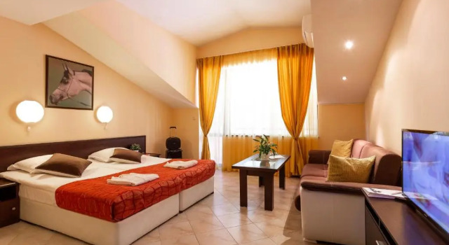 Двухместный номер Deluxe с балконом Spa Hotel Aspa Vila