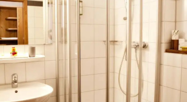 Двухместный номер Standard Цокольный этаж Hotel & Restaurant Zum Reussenstein