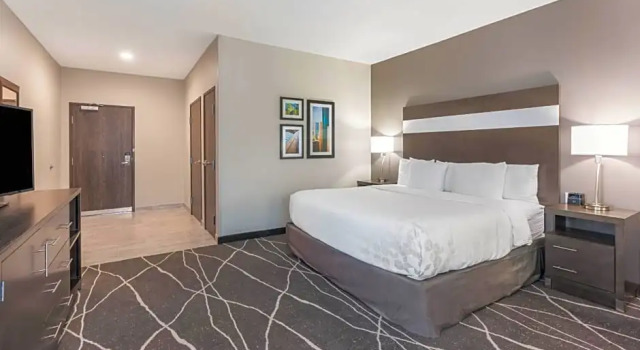 Номер Standard La Quinta Inn and Suites by Wyndham Houston Spring South