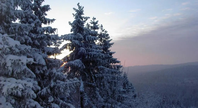 Номер Standard Landhotel Fernsicht