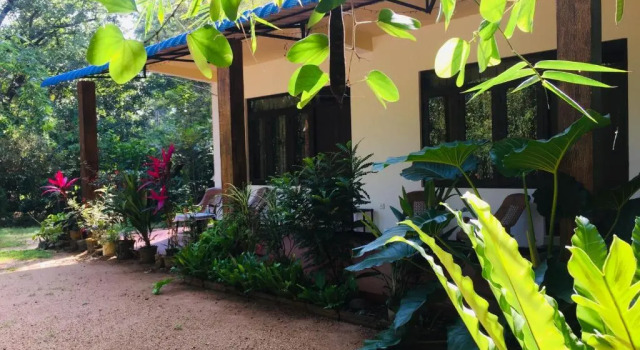 Номер Deluxe Gimansa Rest Sigiriya