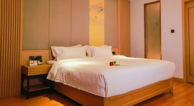 Luksusowy suite Wanhao Hotel