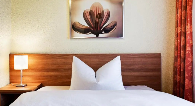 Двухместный номер Standard Hotel Nürnberger Trichter