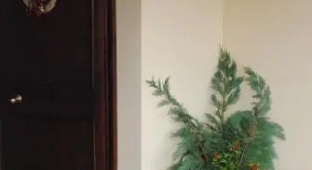 Gli Oleandri di Belfiore