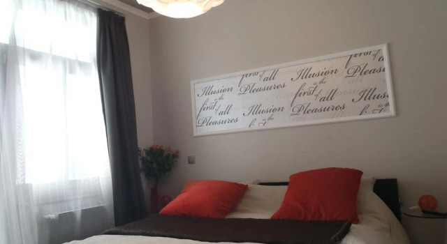 Suite & City Apartments