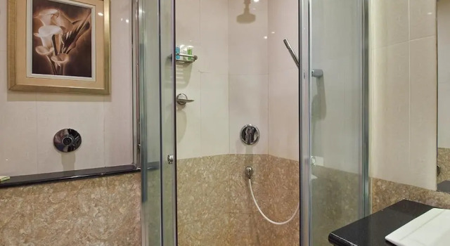 Номер Standard c 1 комнатой Royalton Hyderabad Abids