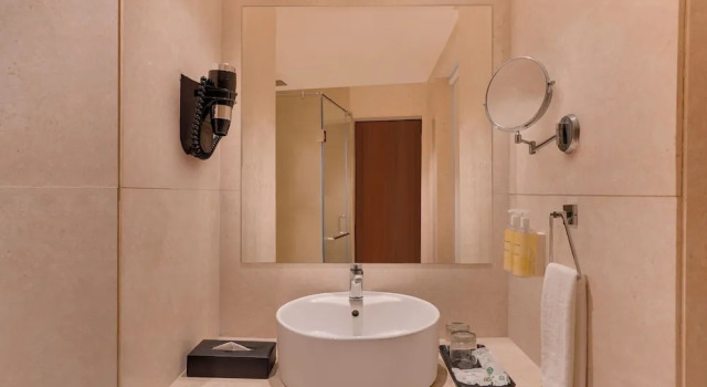 Люкс Superior Lemon Tree Hotel, Noida
