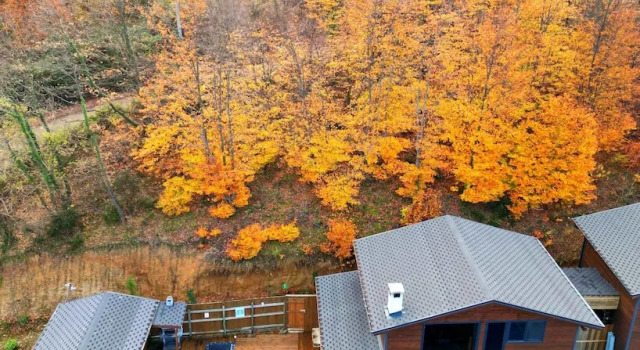 Семейный люкс Woodlodge Country Sapanca