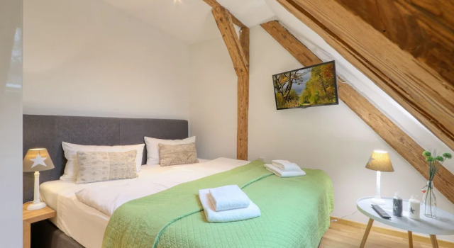 Номер Classic Harz-Urlaubs-Alm Hotel & Ferienhäuser