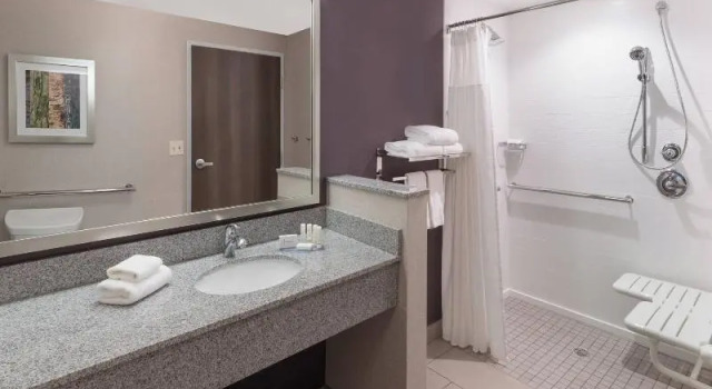Номер Executive Fairfield Inn & Suites by Marriott Chicago Schaumburg