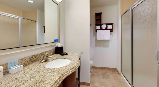 Одноместный люкс Hampton Inn & Suites Dallas-Arlington-South