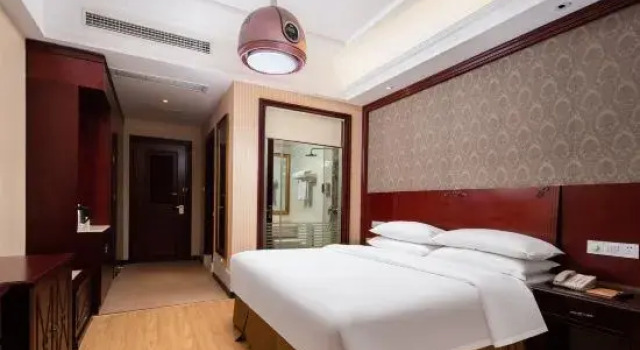 Семейный люкс vienna hotel
