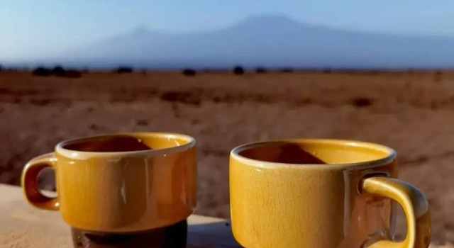 Номер Standard Amboseli Amanya Lodge