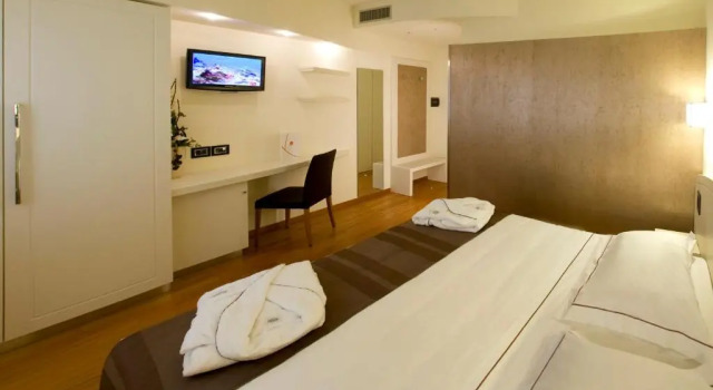 Двухместный номер Standard Hotel Napoleon