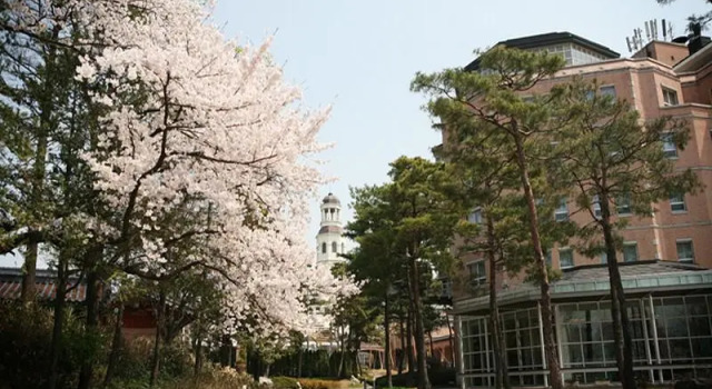 Полулюкс Mayfield Hotel Seoul
