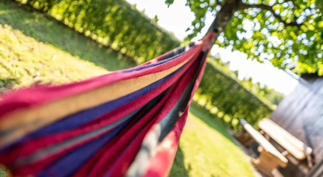 Kranach 5 - Wohnen beim Wein, Book Hotel Gamlitz Styrian Wine Road