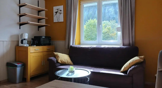 Апартаменты AH Carinthia Mallnitz - Carinthia Appartements
