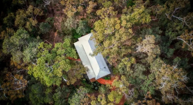 Шале Forest Rise Chalets and Lodge