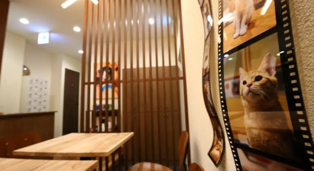 Yagura Hostel, Prenota Ostello Ostelli a Fukuoka, Ostello