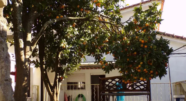Hang House, Book Hotel Caminha Minho