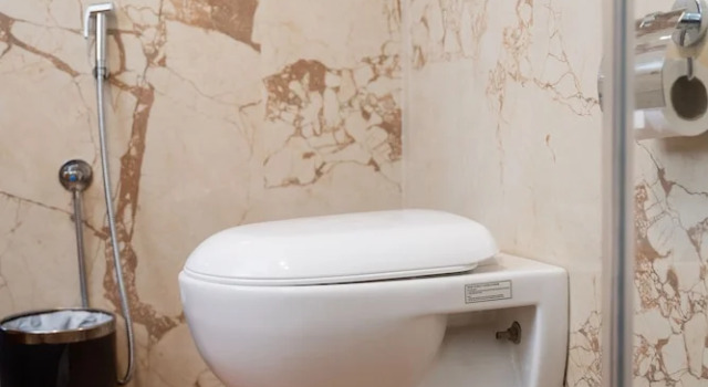Номер Standard Hotel Kailash Kutee