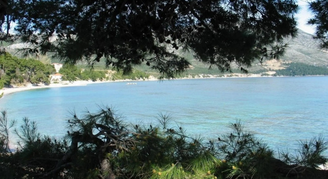Lucky - 150m From the sea - A3
