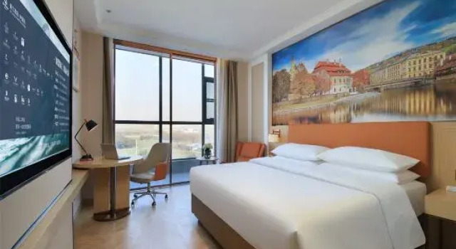 Люкс Deluxe Vienna Hotel (Wuzhi Heshuo Avenue)