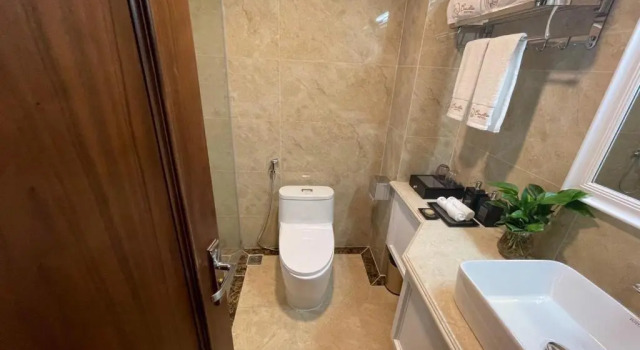 Двухместный номер Superior Camellia Luxury Hotel Tam Đảo