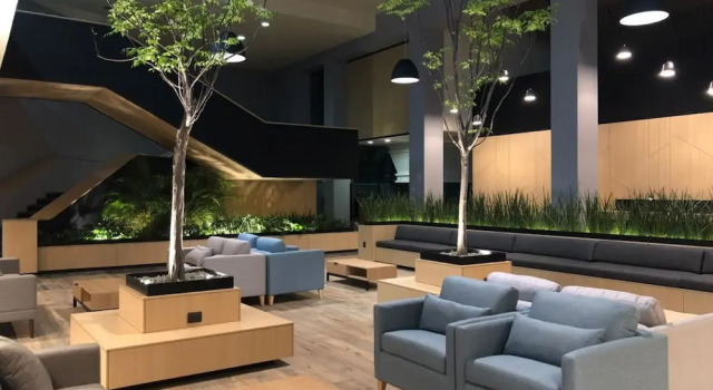 Holiday Inn Morelia, Book Hotel Hoteller i Morelia med pool, Swimmingpool